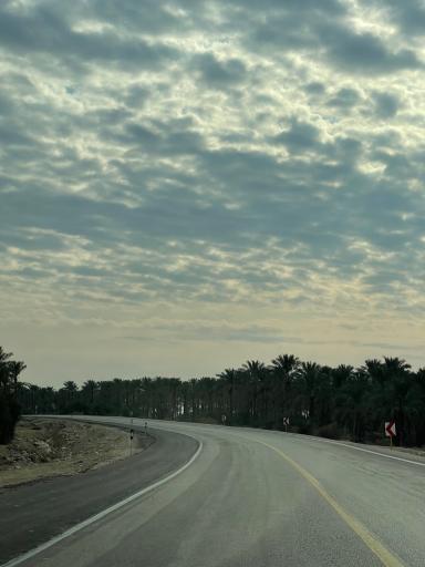 عکس نخلستان های آب پخش