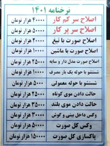 عکس سرچین سران