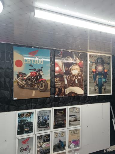 عکس استیکر لئو