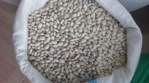 عکس پخش عمده انواع حبوبات