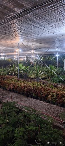 عکس باغ آستان قدس رضوی