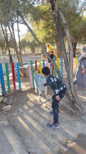 عکس مدرسه تربیت شاپرک