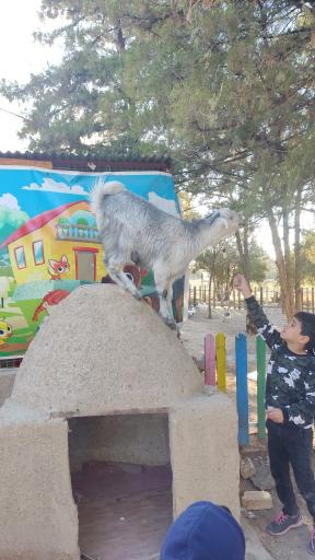 عکس مدرسه تربیت شاپرک