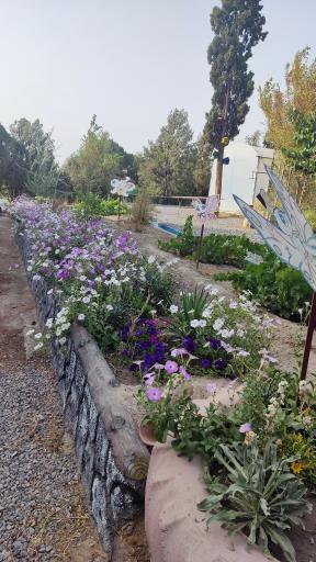 عکس مدرسه تربیت شاپرک