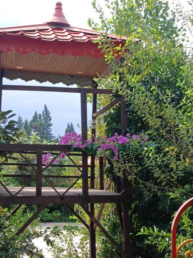 عکس هتل باغ سرهنگ