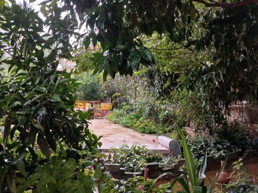 عکس هتل باغ سرهنگ