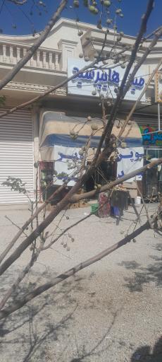 عکس سوپر مارکت سید