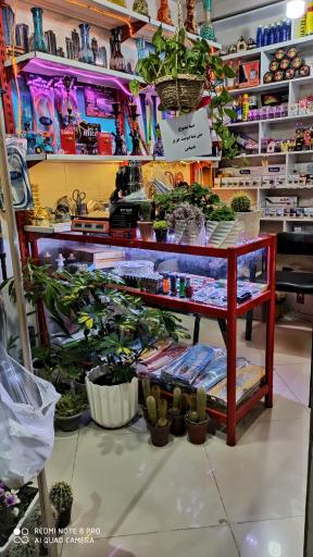 عکس دخانیات محسن 