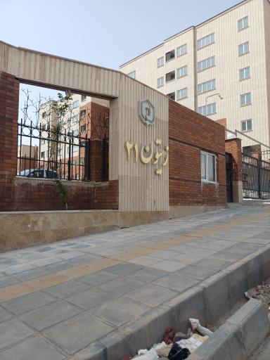 عکس زیتون ۲۱