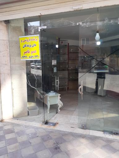 عکس پرنده فروشی عمو ناصر