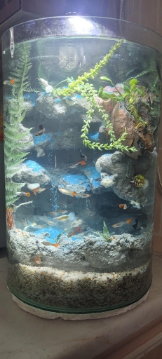 عکس پارس اکواریوم