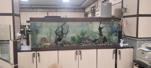 عکس پارس اکواریوم