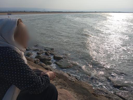 عکس موج شکن تل بردی