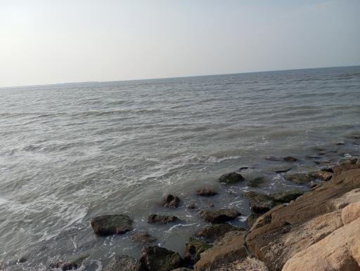 عکس موج شکن تل بردی