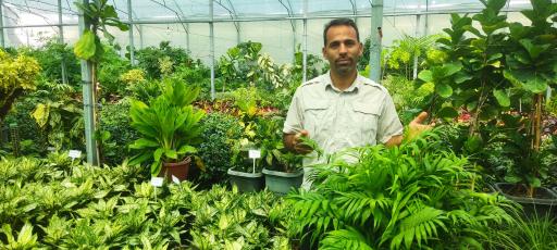 عکس گلخانه ذبیحی