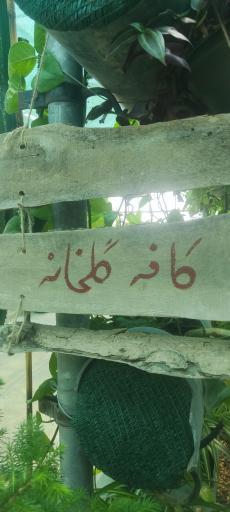 عکس گلخانه ذبیحی