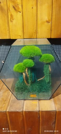 عکس نمایشگاه و فروشگاه تراریوم گلاریس