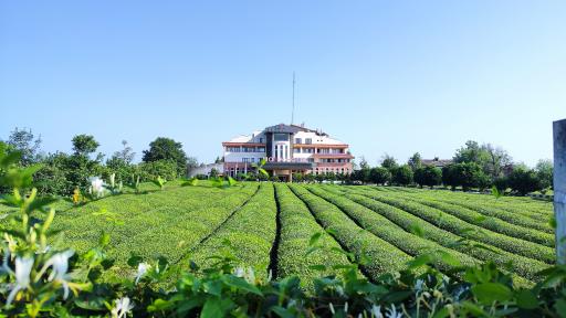 عکس هتل معین