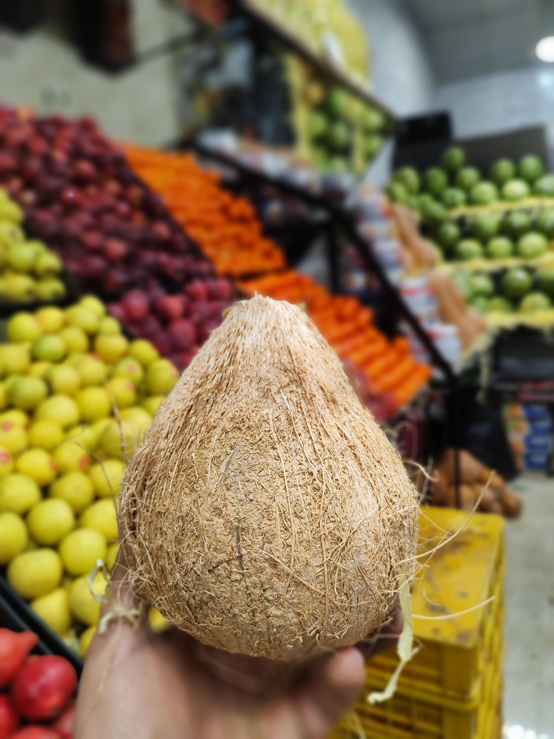 عکس میوه سرای سرگل