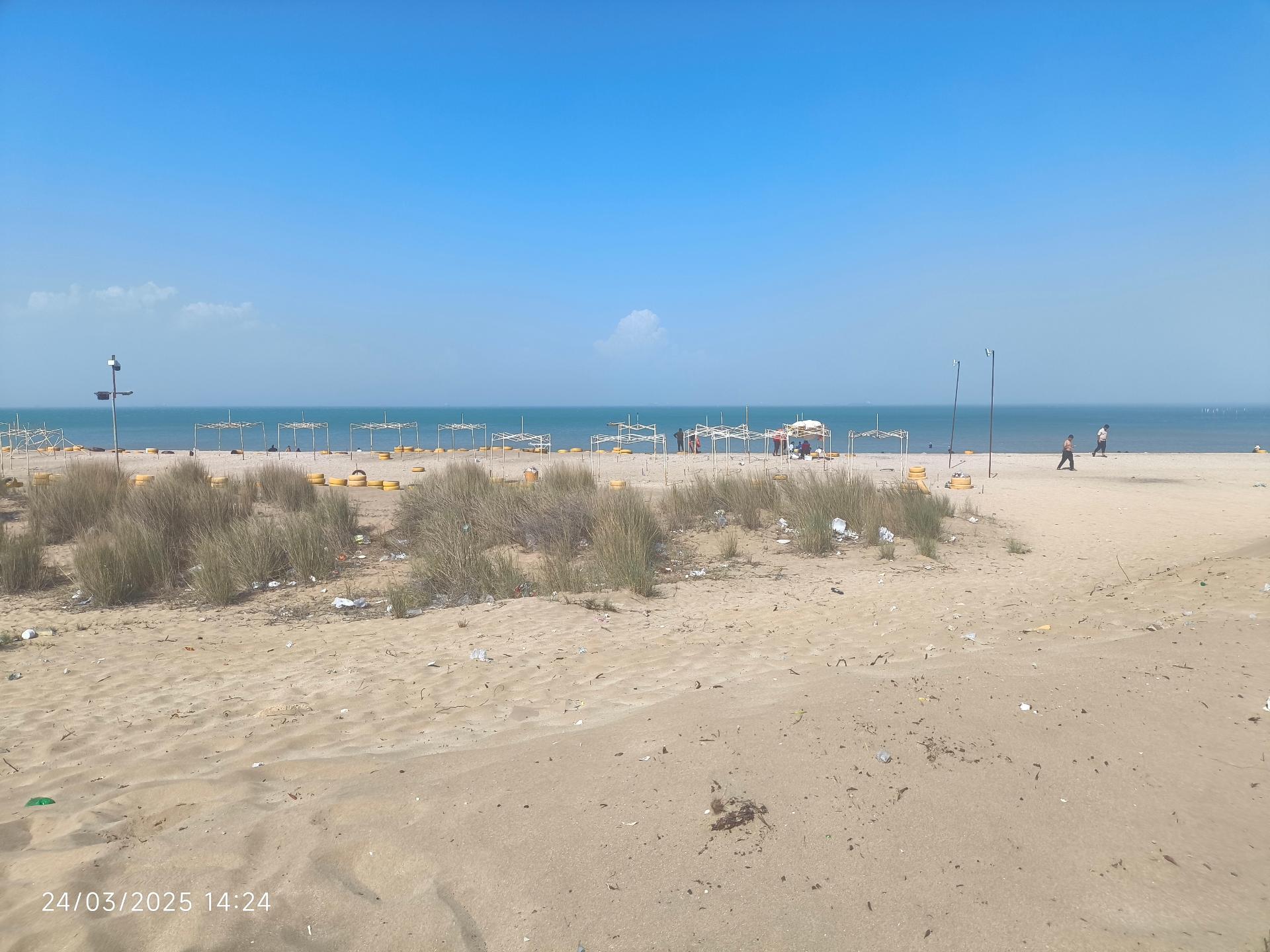 عکس پارک هامون