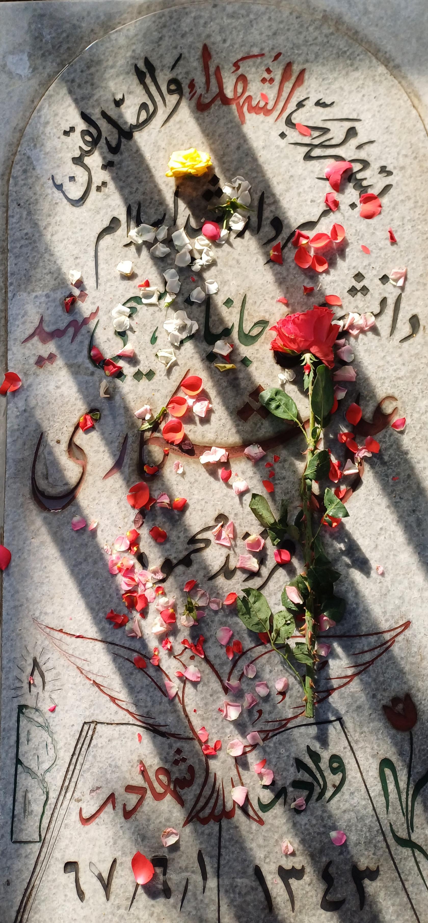 عکس مزار شهید علی شکاری