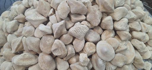 عکس سوغات سرای باقرپور