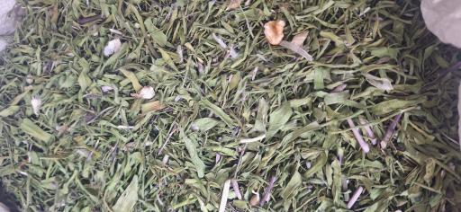 سوغات سرای باقرپور