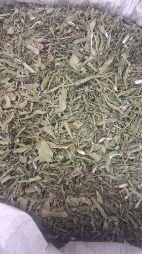 عکس سوغات سرای باقرپور