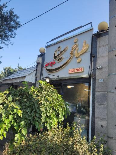 عکس طباخی سینا