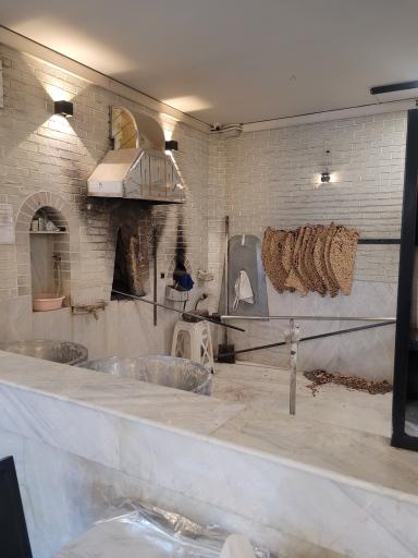 عکس طباخی سینا