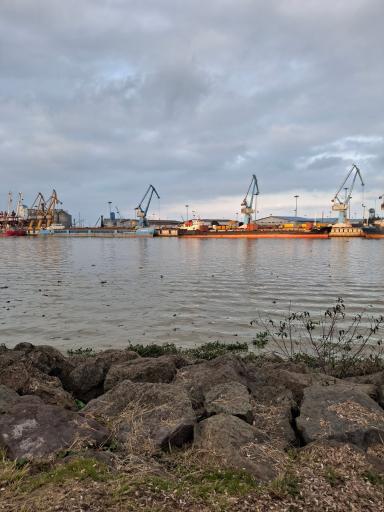 عکس بندر انزلی