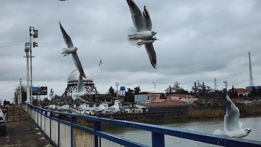 عکس بندر انزلی