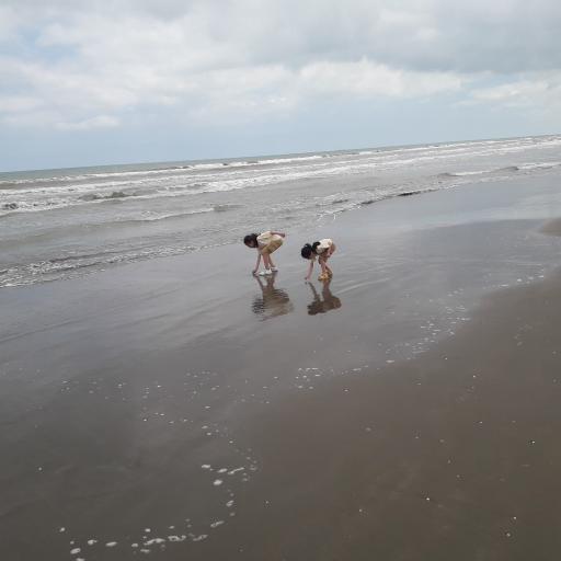 عکس بندر انزلی