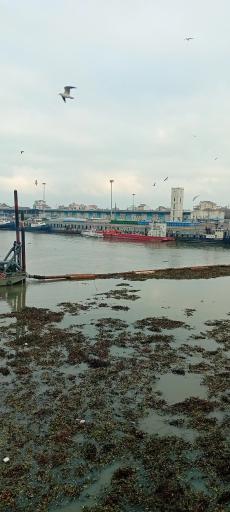 عکس بندر انزلی