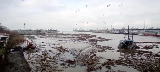 عکس بندر انزلی