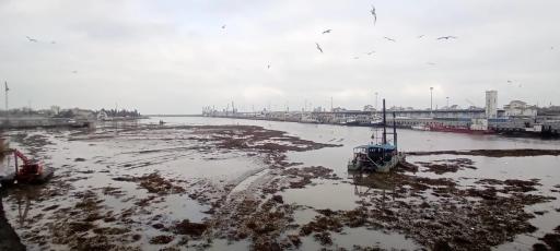 عکس بندر انزلی