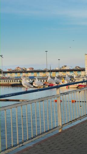 عکس بندر انزلی