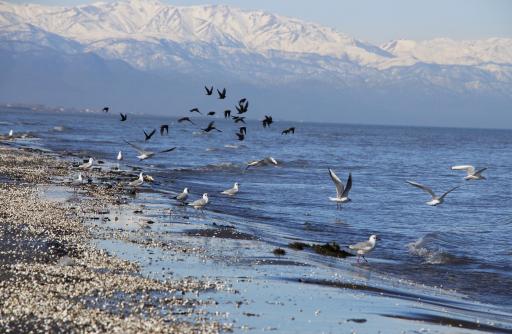 عکس بندر انزلی