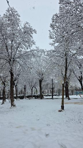 عکس پارک شهید رجایی