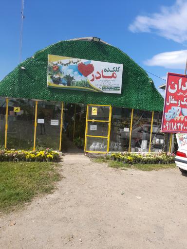 عکس گلکده مادر 