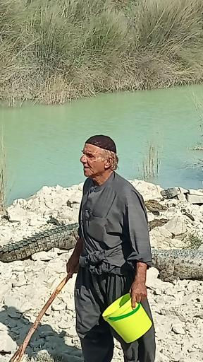 عکس اقامتگاه بومگردی شجره