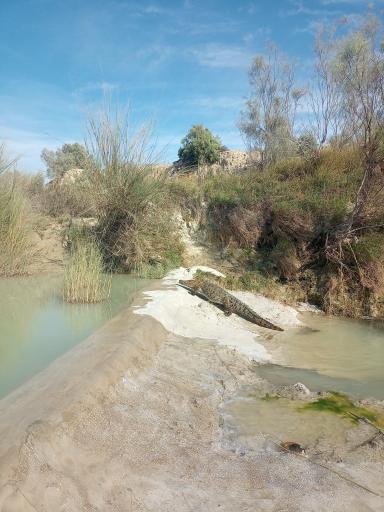 عکس اقامتگاه بومگردی شجره