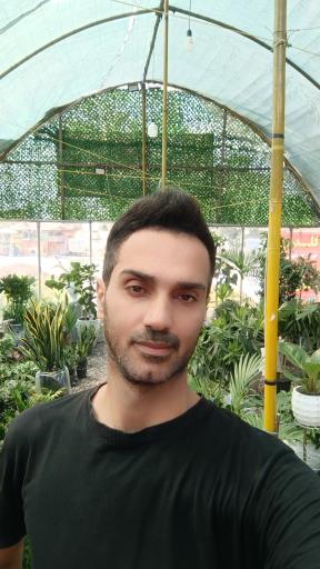 عکس گلکده مادر 