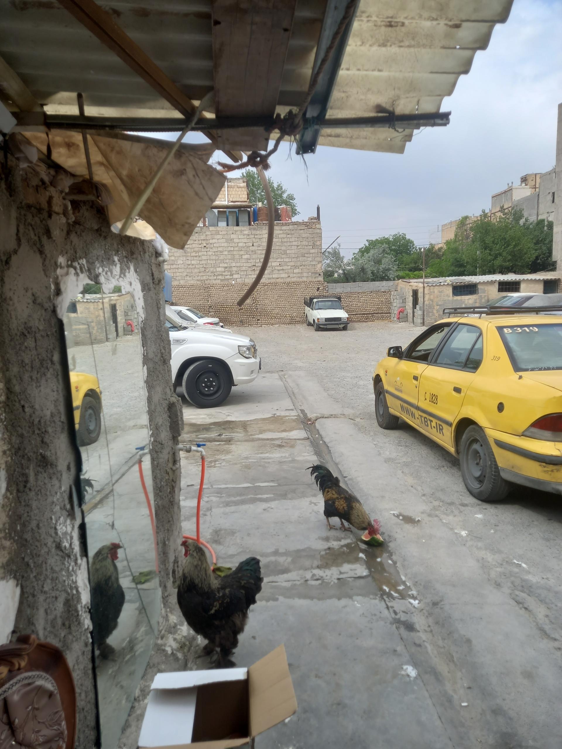 عکس پارکینگ روباز