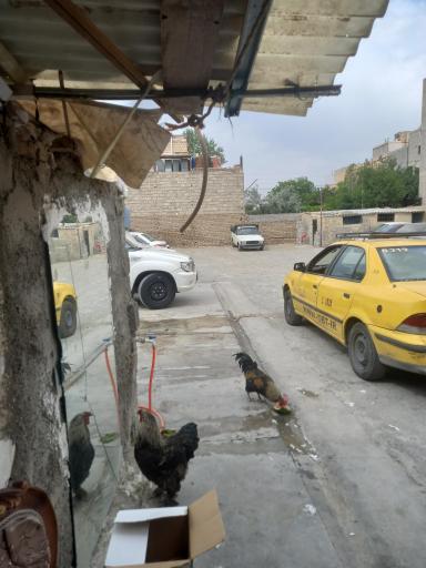 عکس پارکینگ روباز