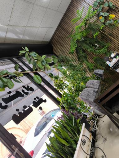 عکس رستوران هفت چنار زنجان