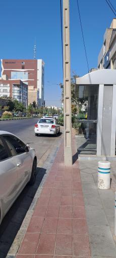 عکس  استقلال 7