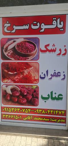 عکس خشکبار سید محمد آقایی