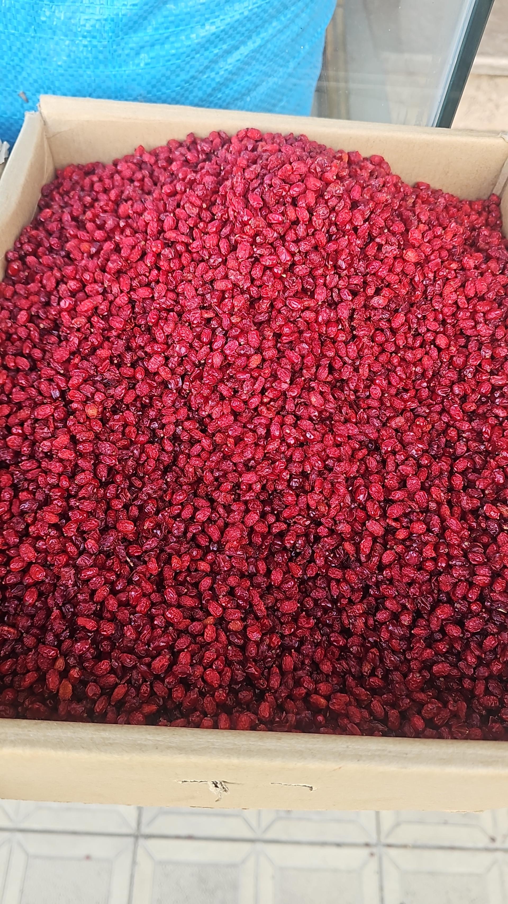 عکس خشکبار سید محمد آقایی