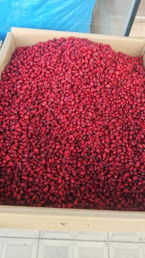 عکس خشکبار سید محمد آقایی